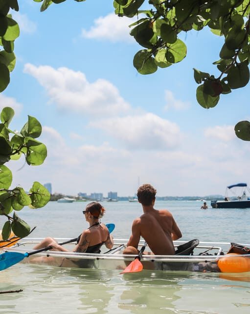 Clearwater: Guided Clear Kayaking Tour - Key Points