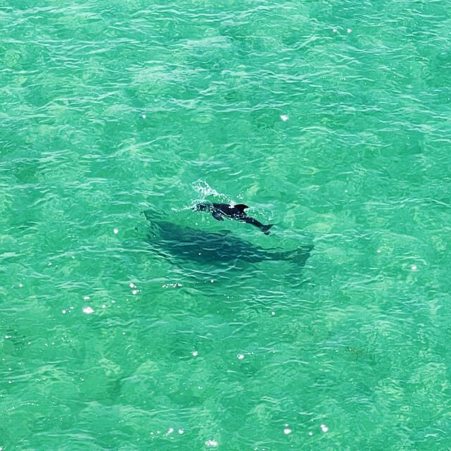 Clearwater: Guided Clear Kayaking Tour - An In-Depth Look at the Clearwater Kayaking Experience