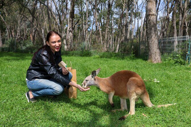 Cleland Wildlife Park Experience - from Adelaide including Mt Lofty Summit - Who Is This Tour Best For?