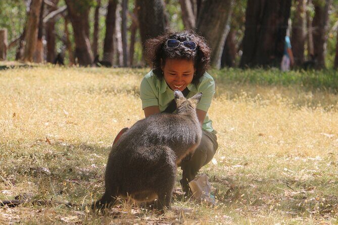 Cleland Wildlife Park Experience - from Adelaide including Mt Lofty Summit - Frequently Asked Questions