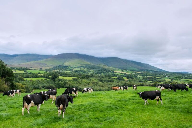 cliffs-of-moher-and-blarney-2-day-tour-from-dublin