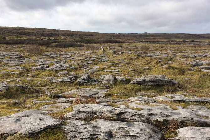 cliffs-of-moher-and-the-burren-private-tour