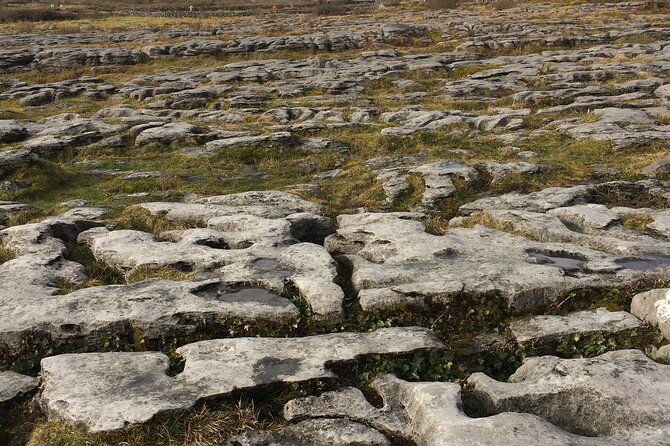 cliffs-of-moher-and-the-burren-private-tour
