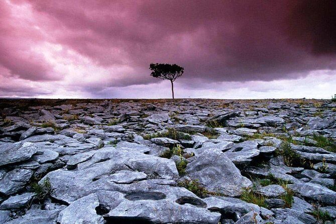 Cliffs of Moher, Aran Island & Burren tour from Galway. Guided. - The Itinerary Breakdown