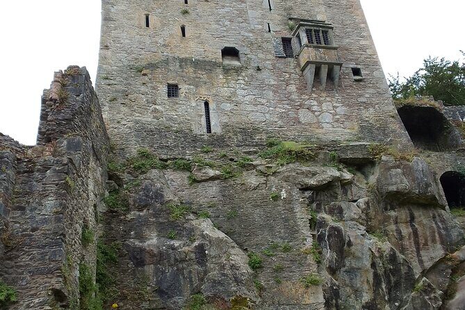 Cliffs of Moher & Bunratty Castle Day Tour - Who Is This Tour Best For?