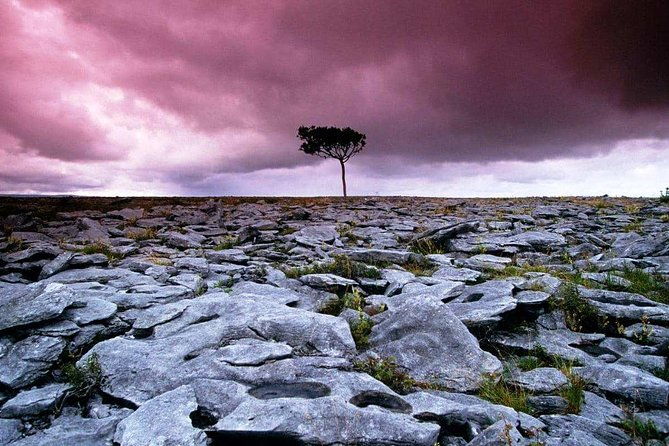 cliffs-of-moher-burren-and-wild-atlantic-way-day-tour-from-galway-city