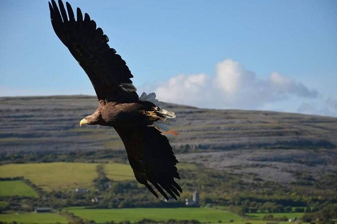cliffs-of-moher-burren-tour-2-hour-stop-at-cliffs-of-moher