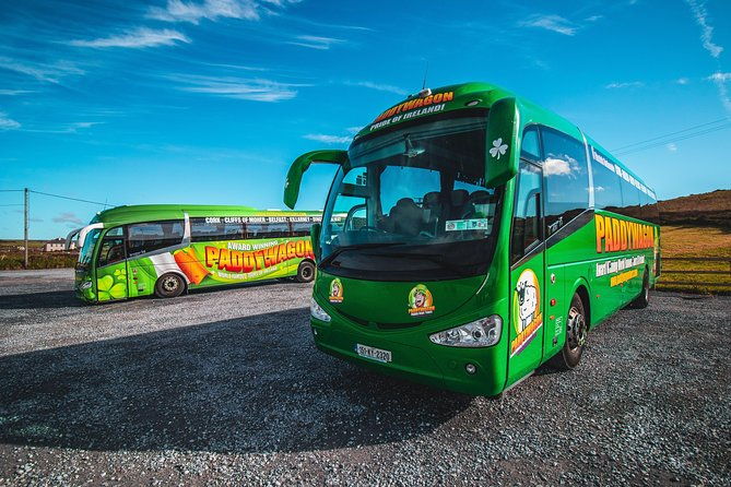 cliffs-of-moher-day-tour-from-limerick-including-the-wild-altanic-way