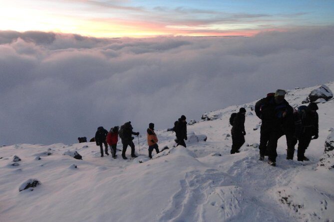 Climb Kilimanjaro 8-Day Lemosho Route with Stunning Scenic Views - Who Is This Tour Best For?