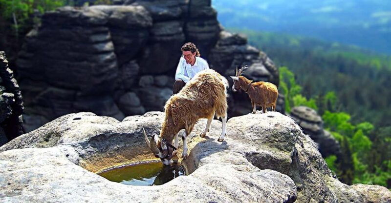 climb-the-mountains-together-with-goats