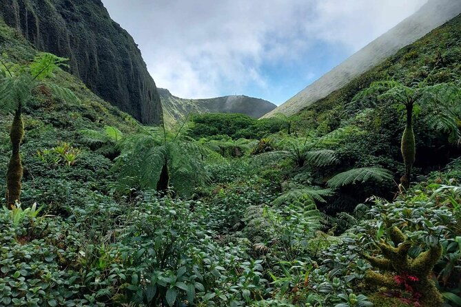 climb-the-pelee-mountain-the-unforgettable-ascension