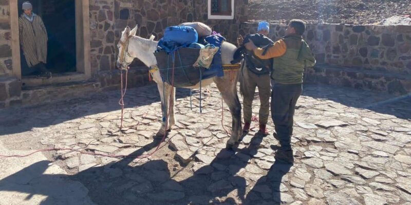 Climb Toubkal: 2-Day Atlas Trek with Local Berber Guide - Authenticity and Review Highlights  
