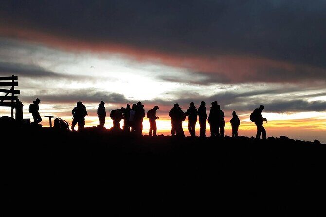 Climbing Kilimanjaro - Machame Route - Wrapping Up