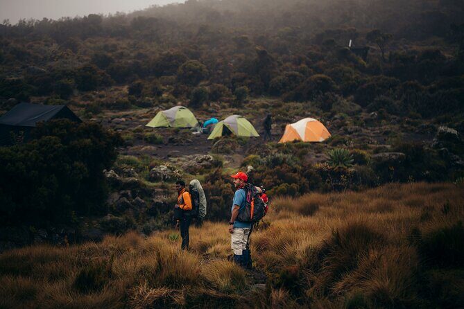 Climbing Kilimanjaro through 7 days Machame Route - Key Points