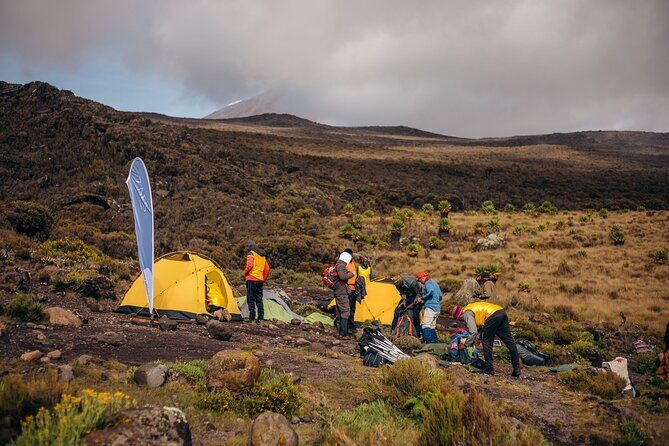 Climbing Kilimanjaro through 7 days Machame Route - What’s Included and What to Expect