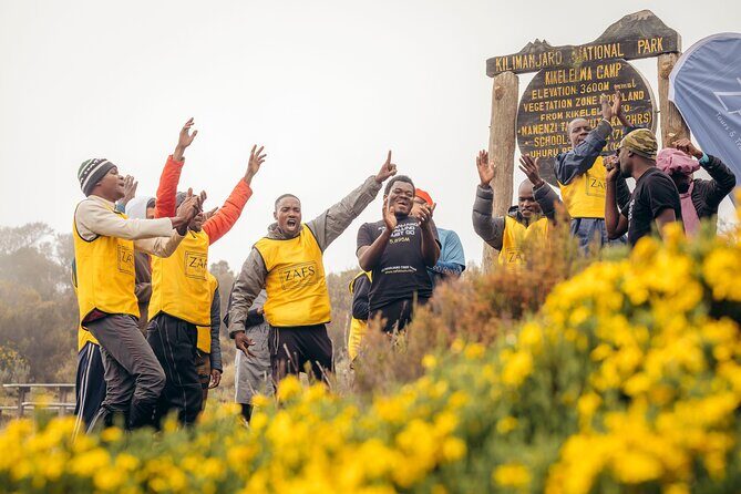 Climbing Kilimanjaro through 8 days Lemosho Route - Key Points