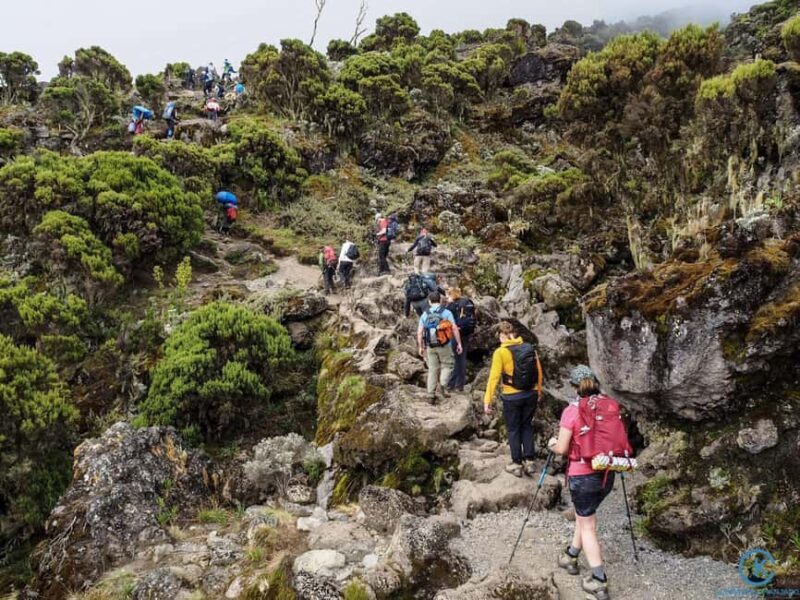 Climbing Mt.Kilimanjaro Via Machame Route - Key Points