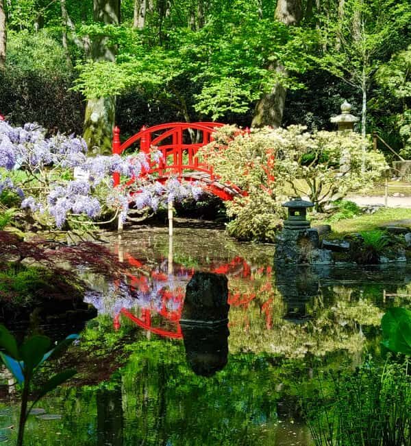 Clingendael: Japanse tuin - Why This Tour Is Worth Considering
