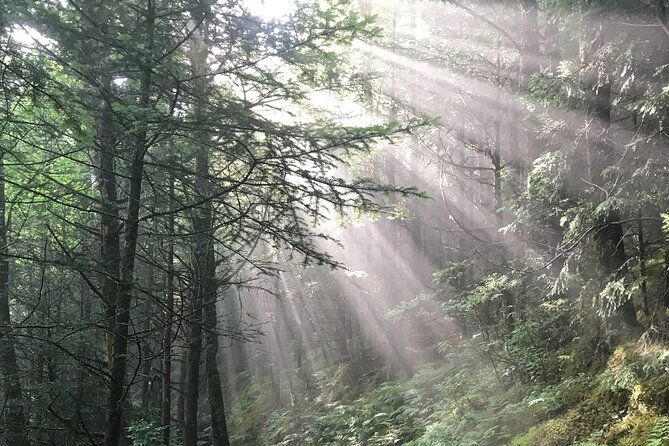 clingmans-dome-hike