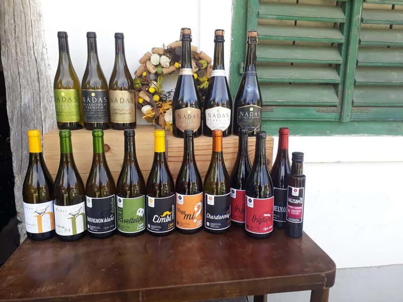 Close to Budapest:Wine Tasting in a Small Cozy Family Winery - Close to Budapest: Wine Tasting in a Small Cozy Family Winery