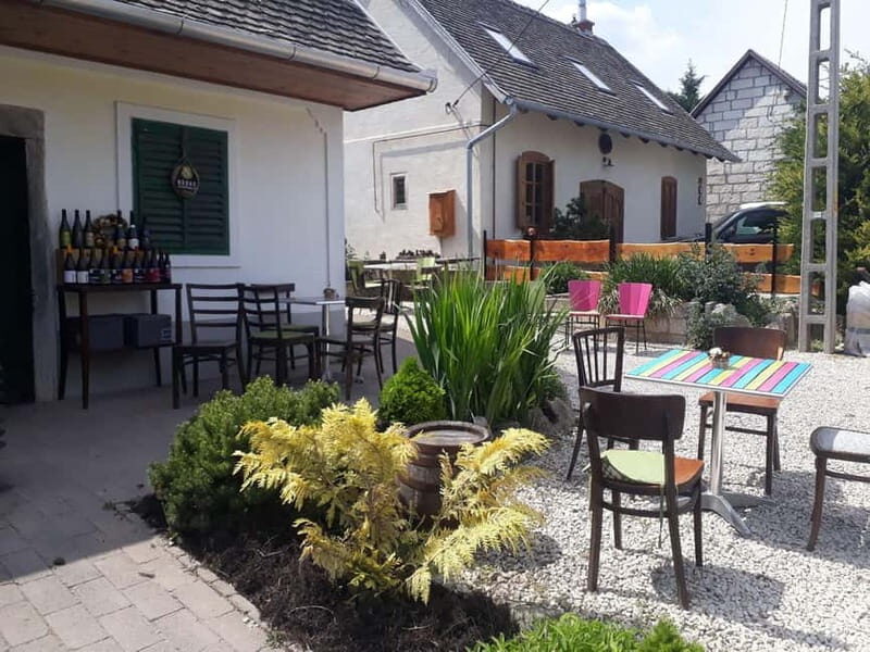 Close to Budapest:Wine Tasting in a Small Cozy Family Winery - The Itinerary in Detail