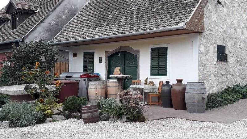 Close to Budapest:Wine Tasting in a Small Cozy Family Winery - Who Should Consider This Tour?