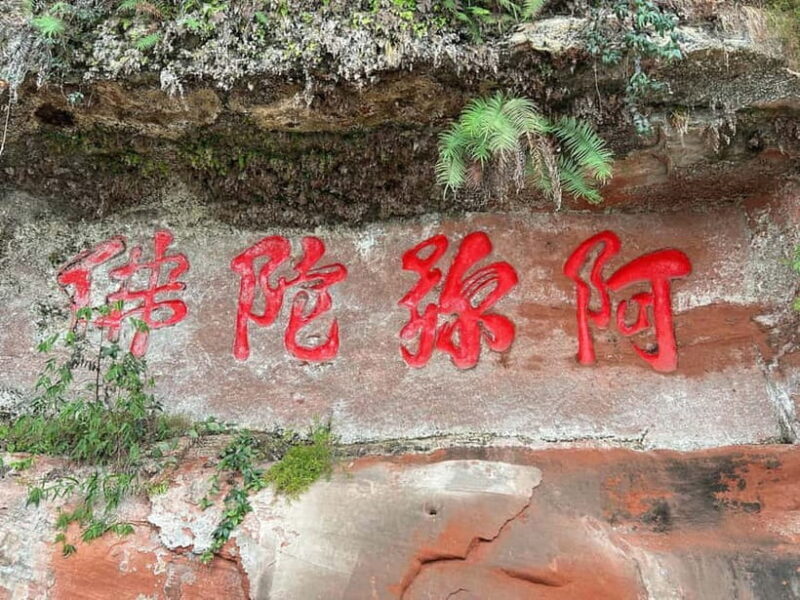 Close to Chengdu: Leshan Giant Buddha & Tasty Local Eats - Introduction to the Leshan Experience