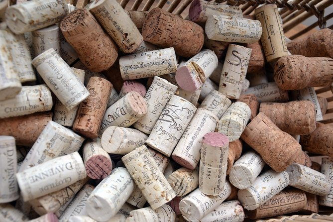 clotilde-davenne-wine-and-cheese-pairing-tasting-in-chablis