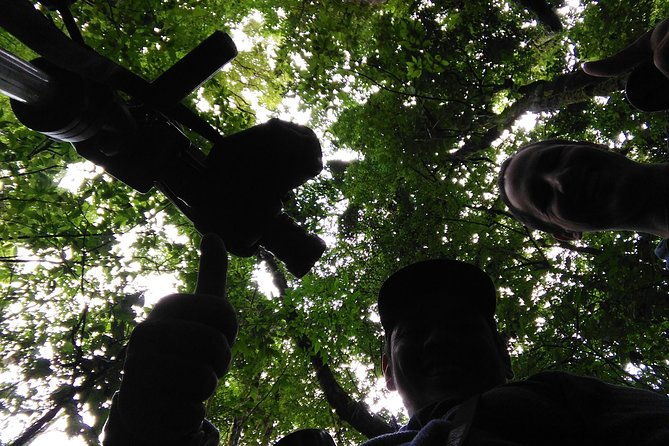 cloud-forest-hanging-bridges-with-a-local-naturalist-tour-guide