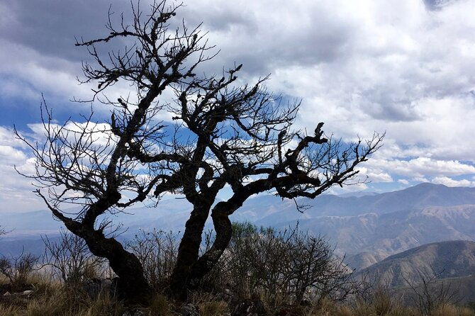 cloud-forest-hiking