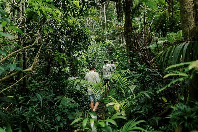 Cloud Forest Sanctuary Jungle Tour - The Experience’s Practical Aspects