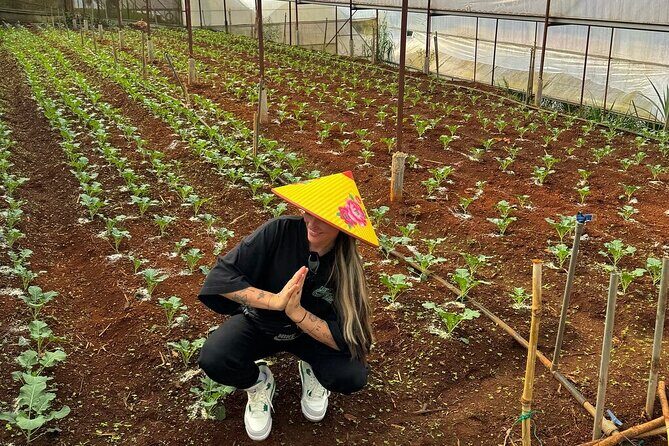 Cloud Hunting and The Glow of Dawn in Da Lat - Practical Details and Insights