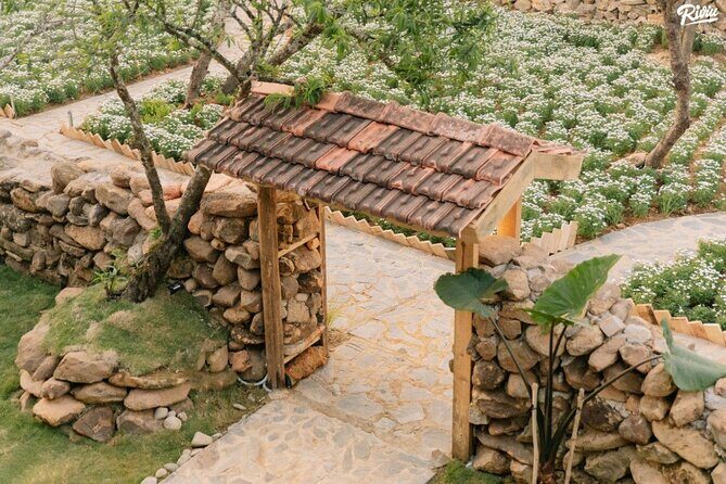 Cloud Hunting and The Glow of Dawn Tour in Da Lat - The Sum Up