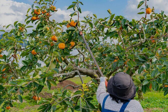 Cloud Hunting and The Glow of Dawn Tour in Da Lat - FAQ
