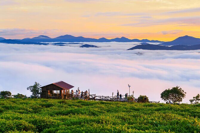 Cloud Hunting - Experience Dalat Special Products - Introduction