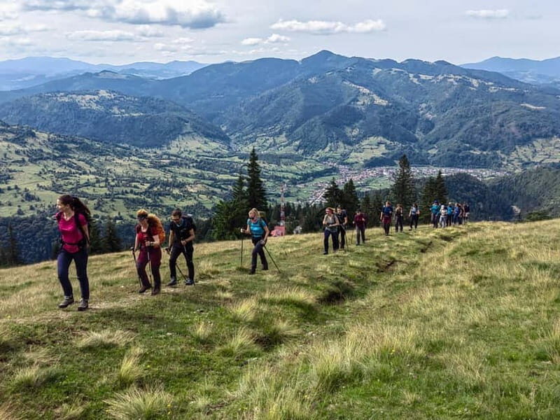 Cluj Napoca: Rodnei Mountains Full-Day Guided Hiking Tour - Key Points