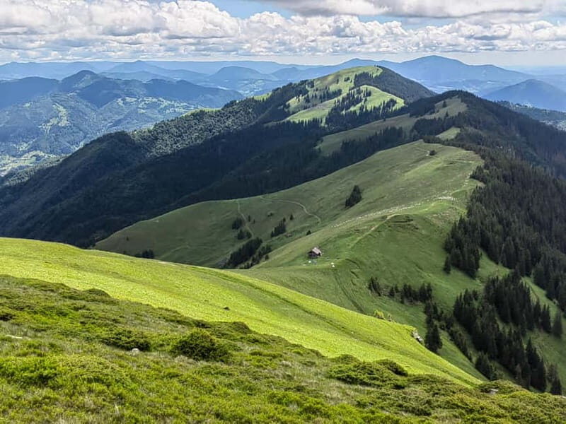 Cluj Napoca: Rodnei Mountains Full-Day Guided Hiking Tour - Exploring the Rodnei Mountains: A Natural Gem