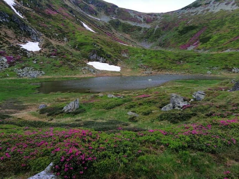 Cluj Napoca: Rodnei Mountains Full-Day Guided Hiking Tour - Final Thoughts
