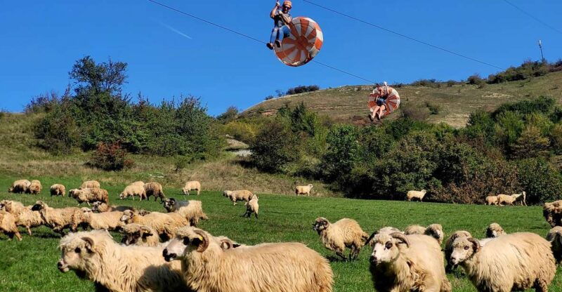 cluj-outdoor-activities-day-trip-with-zip-line-and-hike