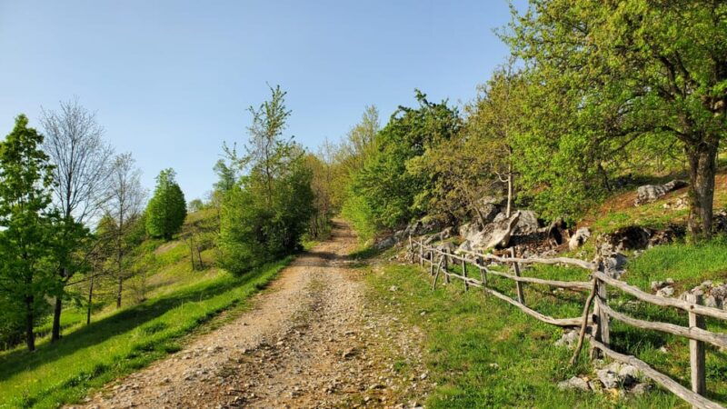 cluj-to-rosia-day-trip-to-ferrata-and-pittoresque-country