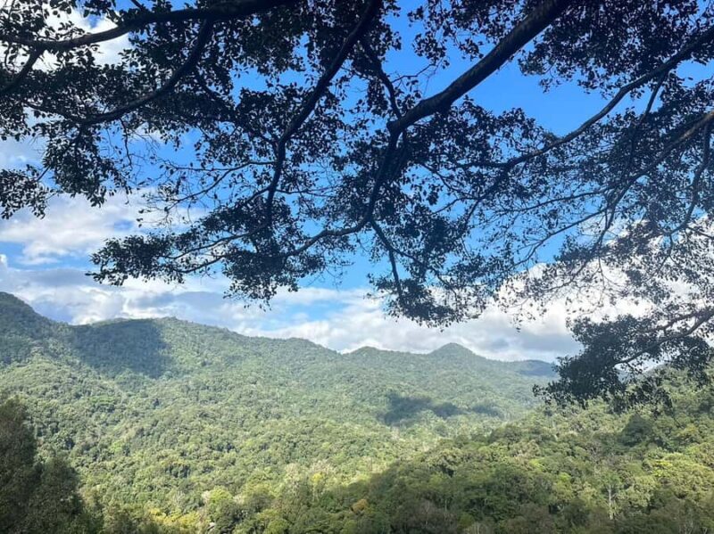 CNX: Trekking & Villager living in forest, tea& coffee farm - Practical Tips for the Day