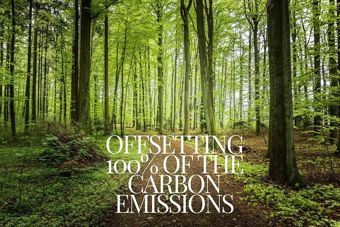 co2-offset-minivan-arrival-transfer-from-krakow-krk-to-krakow