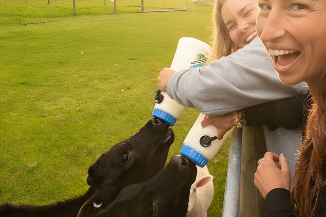 Coach Farm Tour and Milford Sound Nature Cruise from Queenstown - Key Points