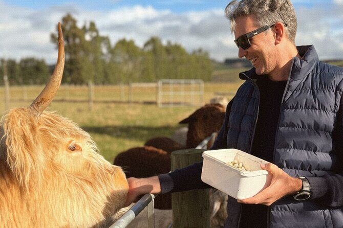 Coach Farm Tour and Milford Sound Nature Cruise from Queenstown - The Itinerary in Detail