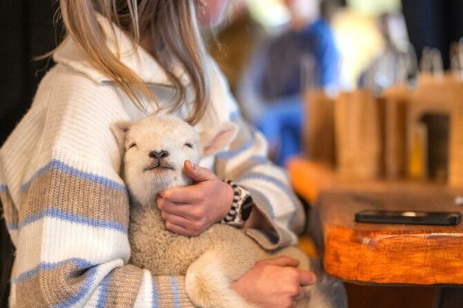 Coach Farm Tour and Milford Sound Nature Cruise from Queenstown - FAQ