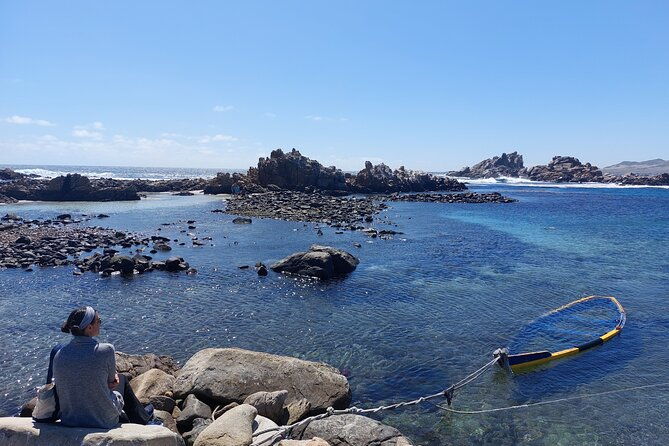 coast-and-atacama-desert-english-bay-and-sugar-loaf-from-la-serena