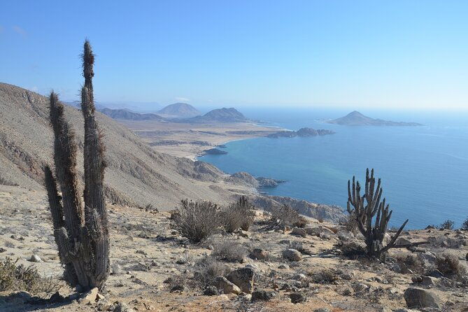 coast-and-atacama-desert-english-bay-and-sugar-loaf-from-la-serena