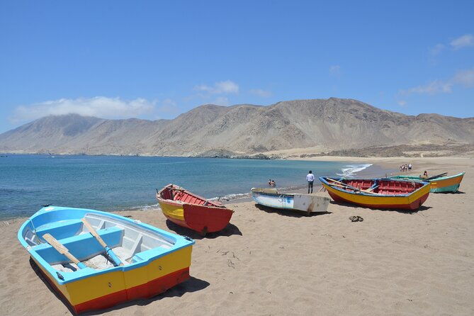 coast-and-atacama-desert-english-bay-and-sugar-loaf-from-la-serena