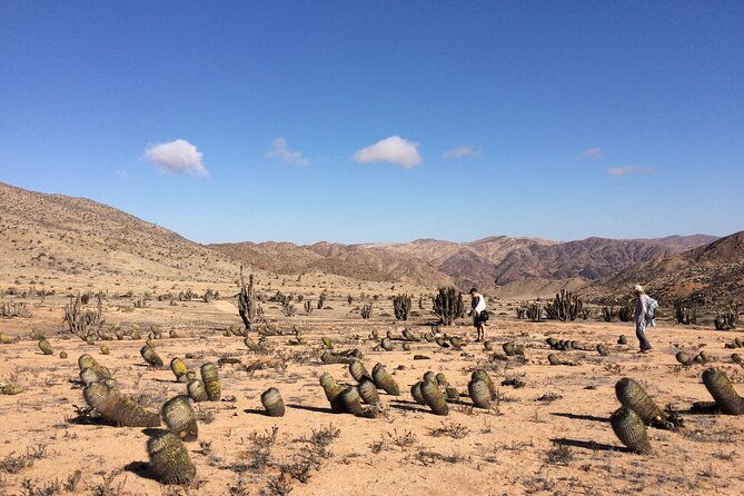 coast-and-atacama-desert-english-bay-and-sugar-loaf-from-la-serena