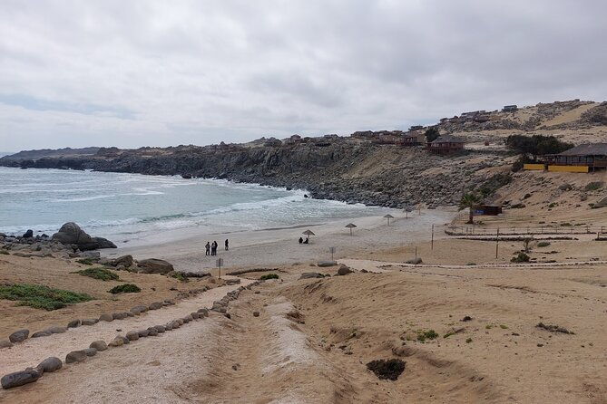 coast-and-atacama-desert-english-bay-and-sugar-loaf-from-la-serena